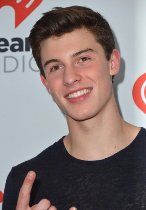 General photo of Shawn Mendes