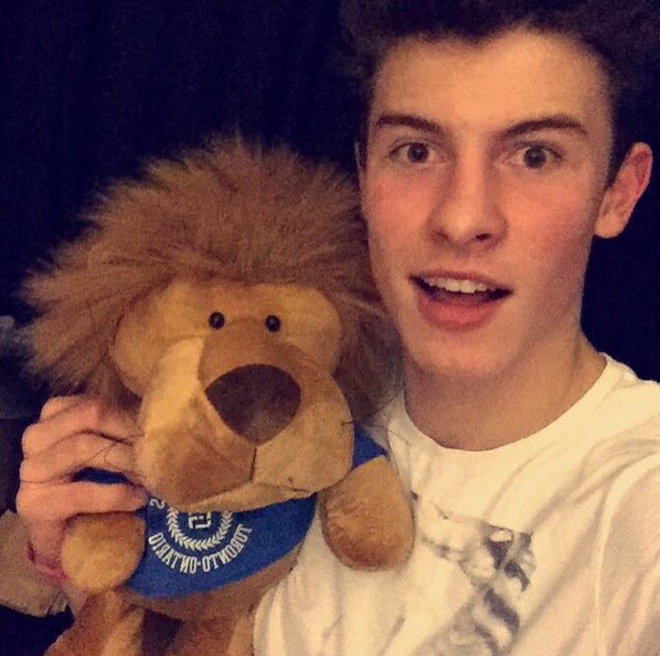 General photo of Shawn Mendes