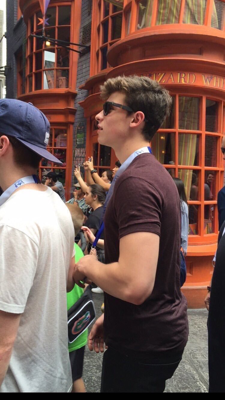 General photo of Shawn Mendes