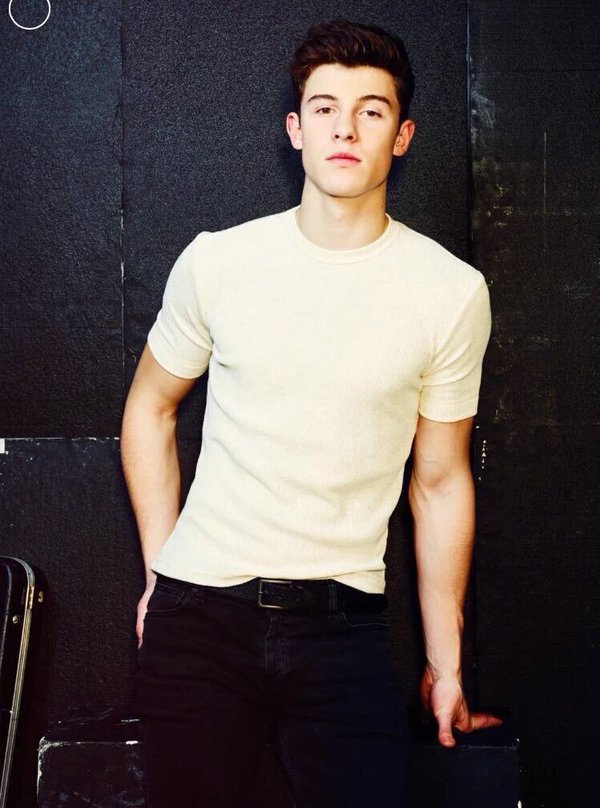 General photo of Shawn Mendes