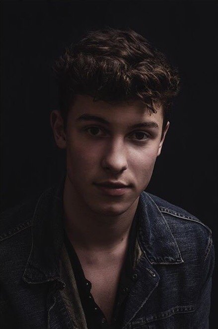 General photo of Shawn Mendes