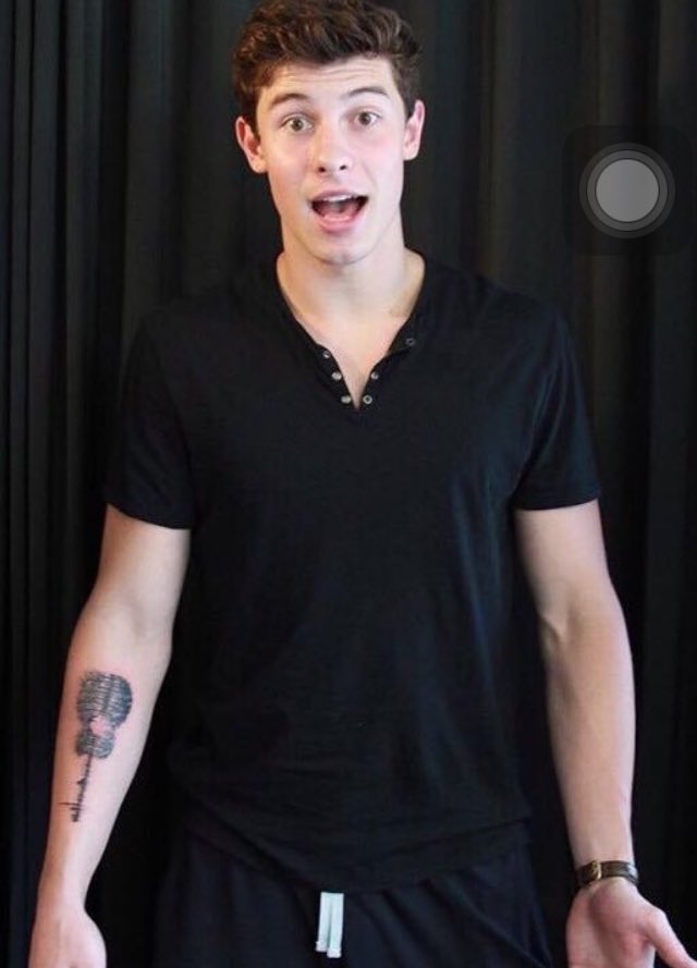 General photo of Shawn Mendes