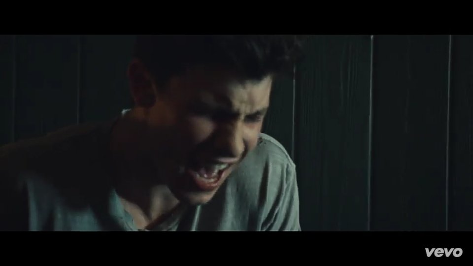 Shawn Mendes in Music Video: Treat You Better