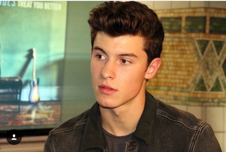 General photo of Shawn Mendes