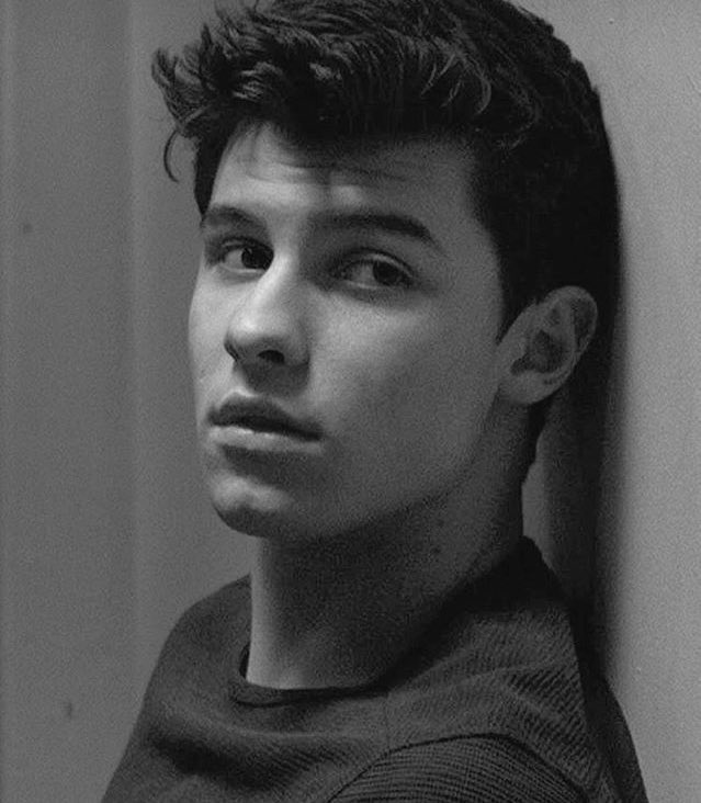 General photo of Shawn Mendes