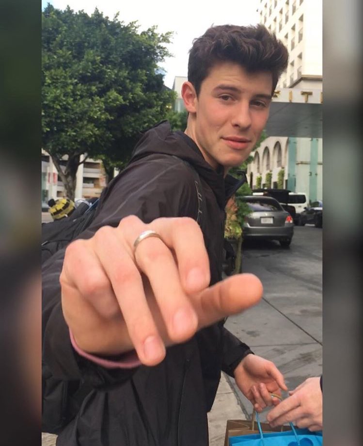 General photo of Shawn Mendes