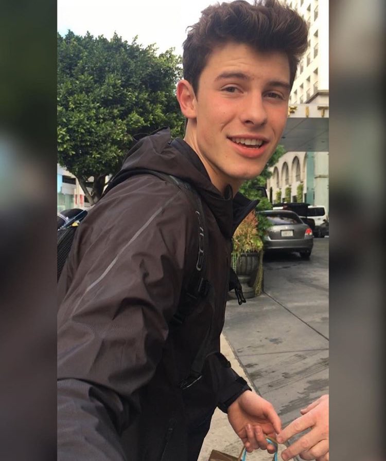 General photo of Shawn Mendes