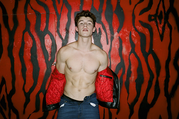 General photo of Shawn Mendes