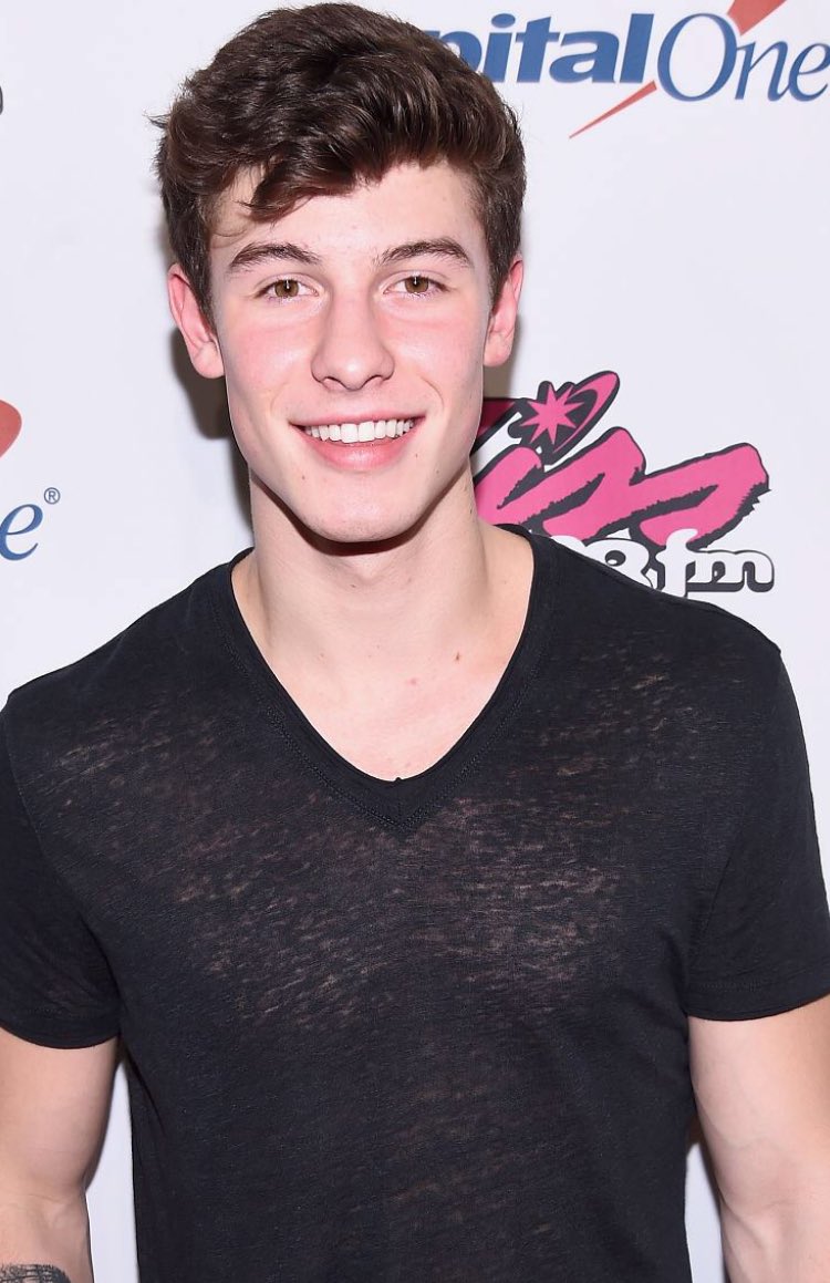 General photo of Shawn Mendes