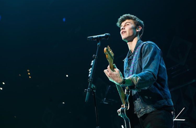 General photo of Shawn Mendes