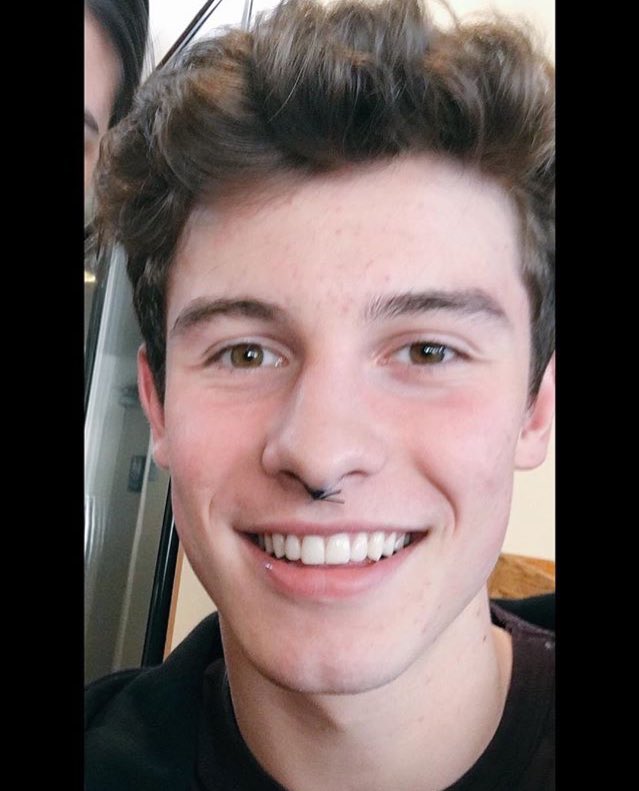 General photo of Shawn Mendes