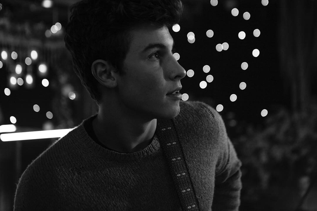 General photo of Shawn Mendes