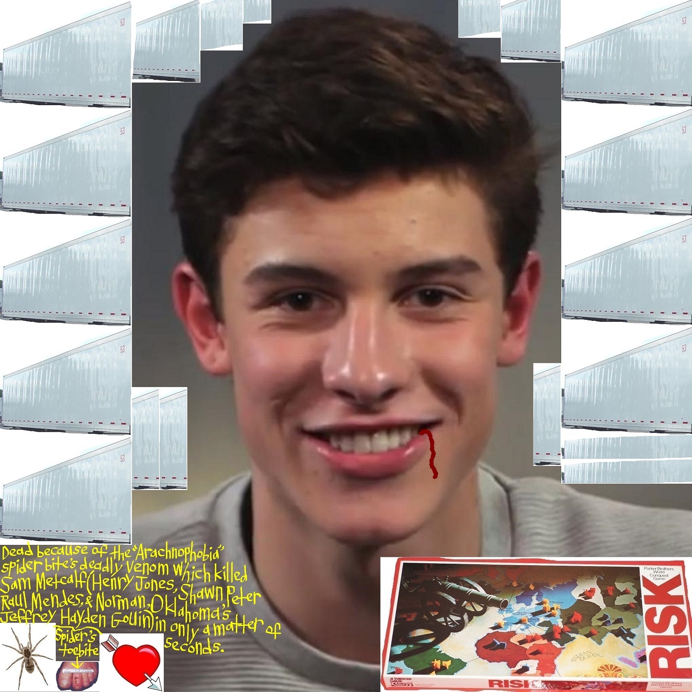 General photo of Shawn Mendes