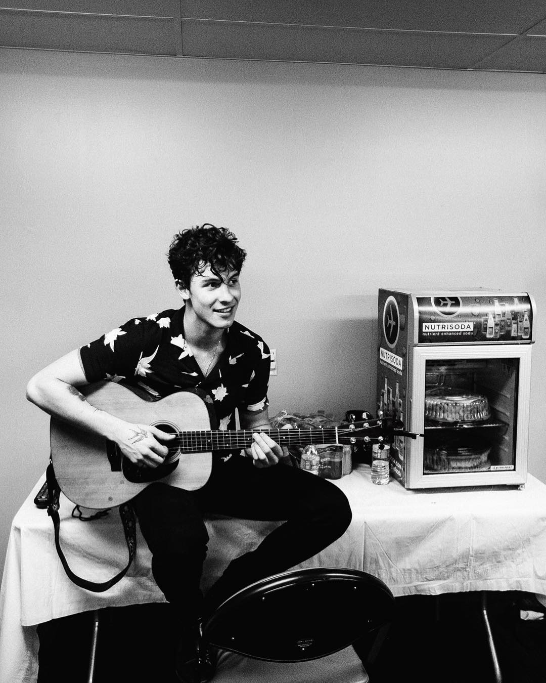 General photo of Shawn Mendes