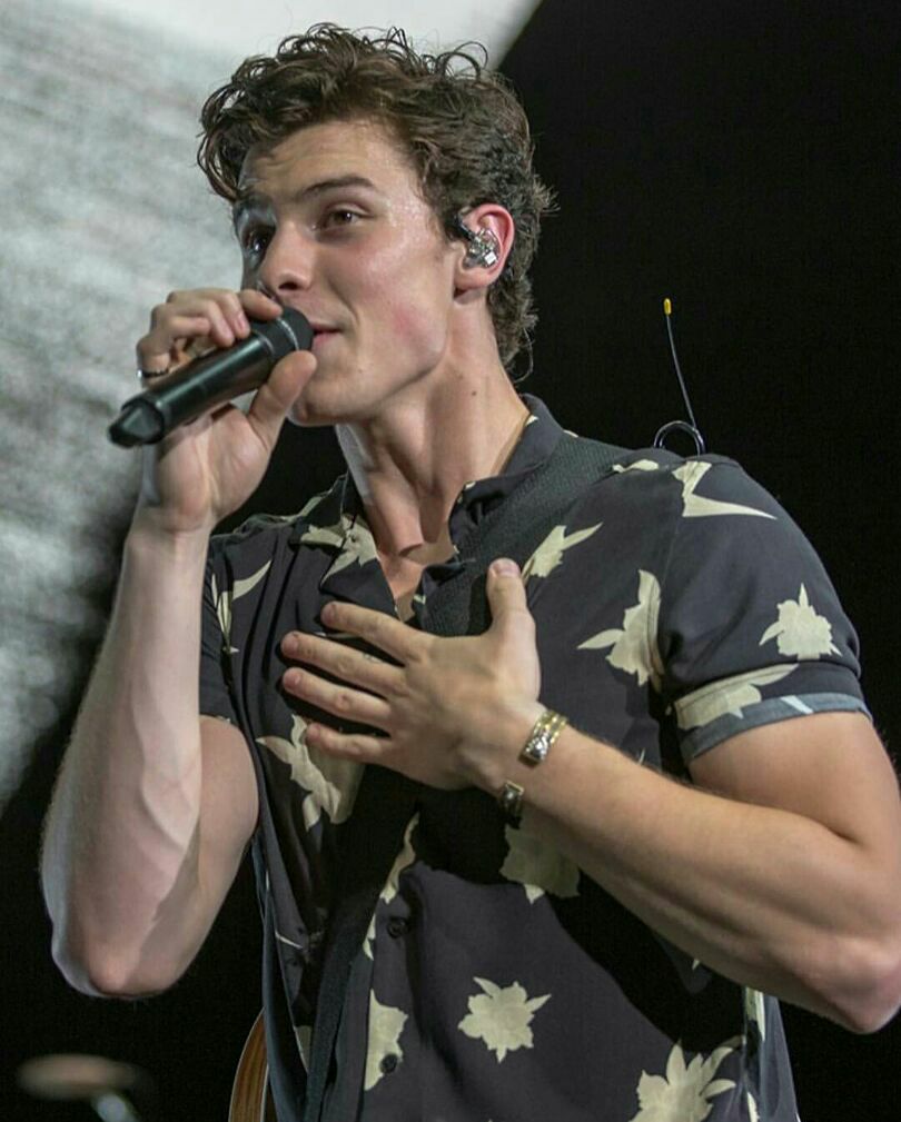 General photo of Shawn Mendes