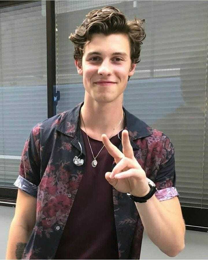 General photo of Shawn Mendes