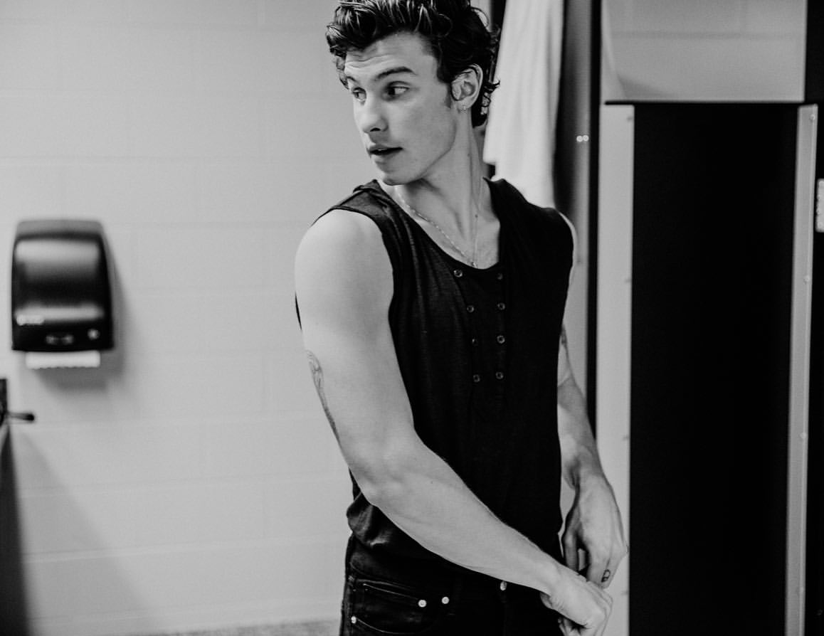 General photo of Shawn Mendes