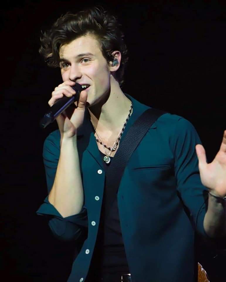 Picture of Shawn Mendes in General Pictures - shawn-mendes-1577400474 ...