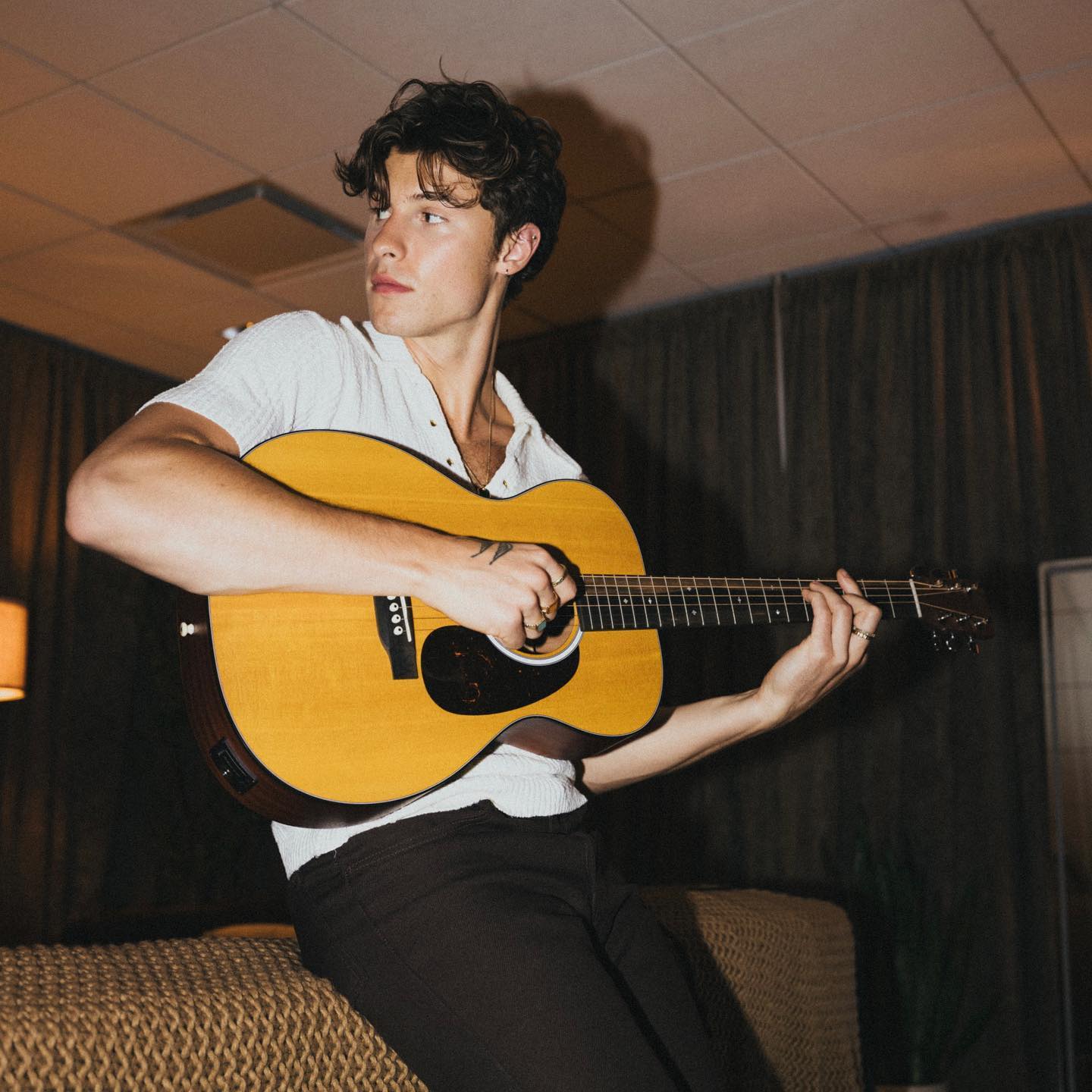 General photo of Shawn Mendes