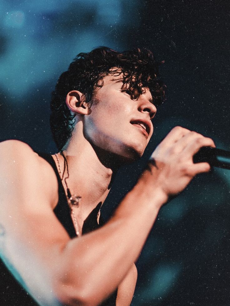 General photo of Shawn Mendes