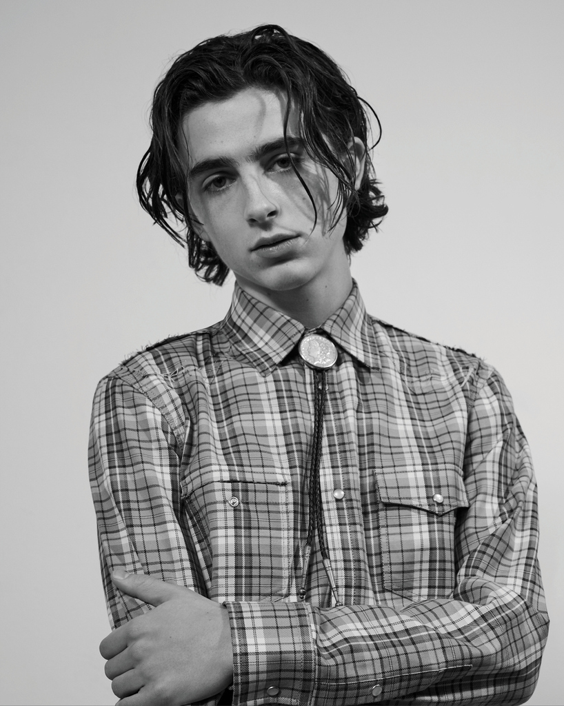 General photo of Timothee Chalamet