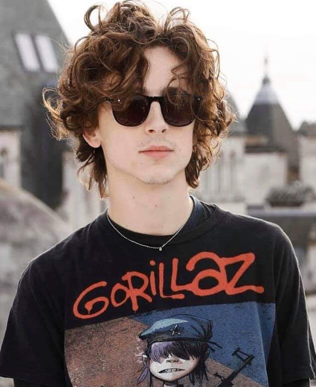 General photo of Timothee Chalamet