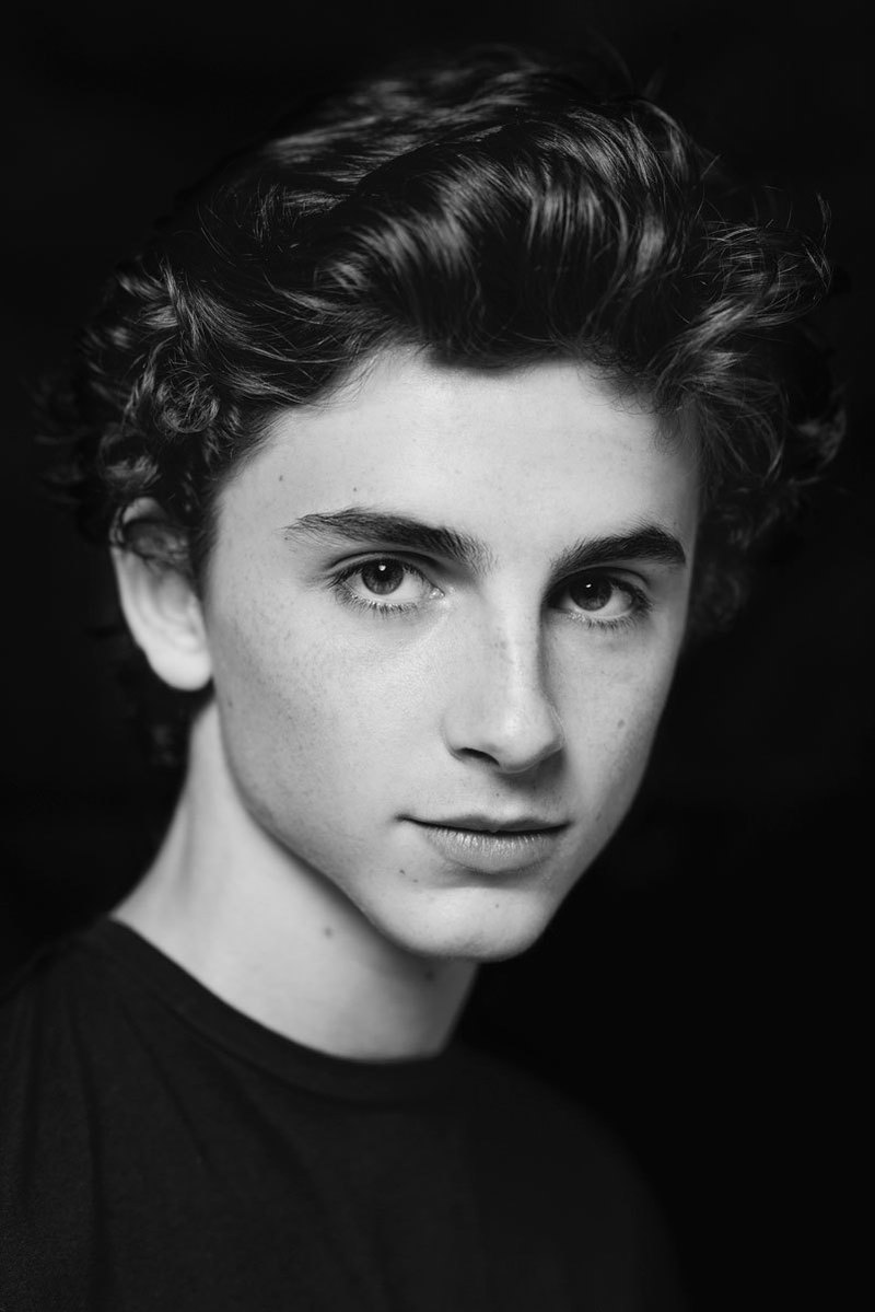 General photo of Timothee Chalamet