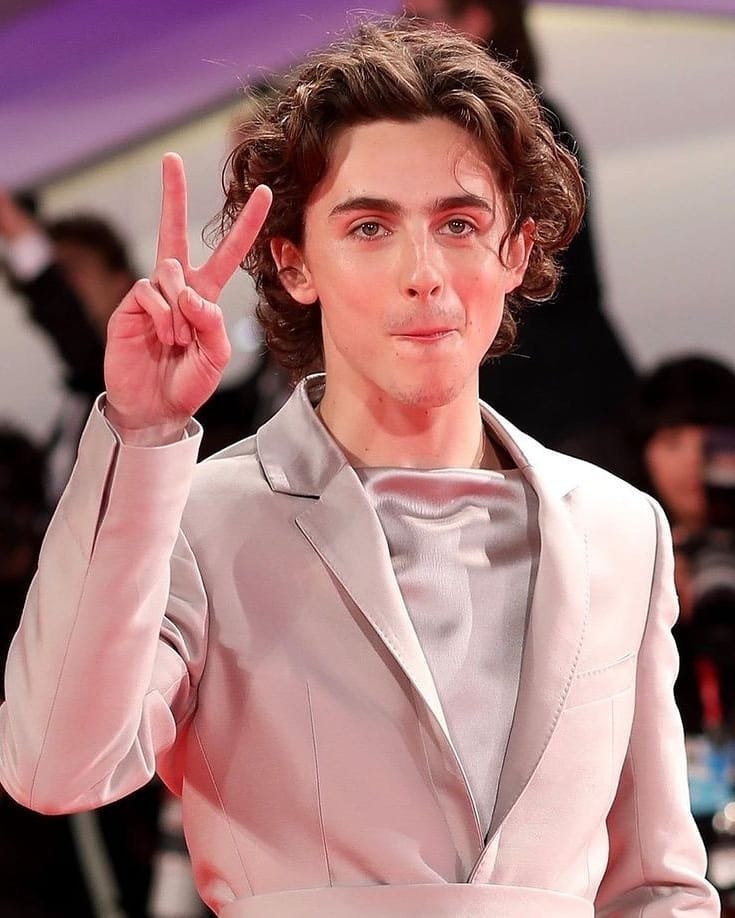 General photo of Timothee Chalamet