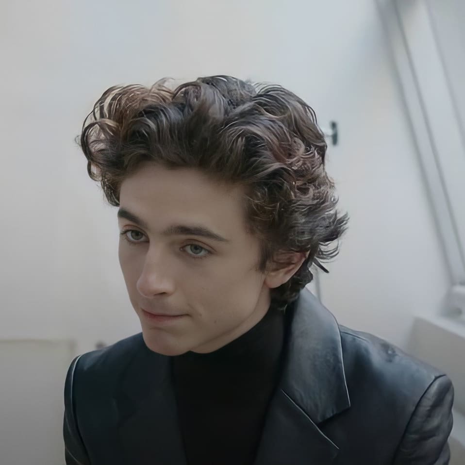 General photo of Timothee Chalamet