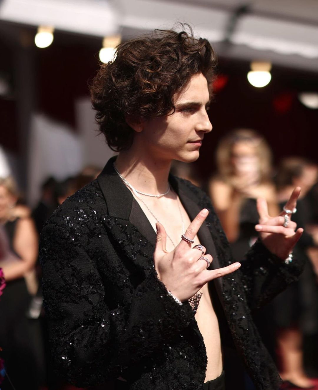 General photo of Timothee Chalamet