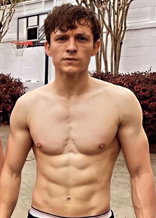 General photo of Tom Holland