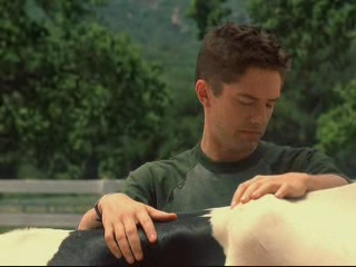 Topher Grace in Win a Date with Tad Hamilton!