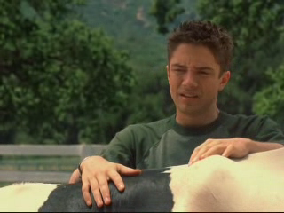 Topher Grace in Win a Date with Tad Hamilton!