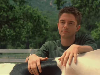 Topher Grace in Win a Date with Tad Hamilton!