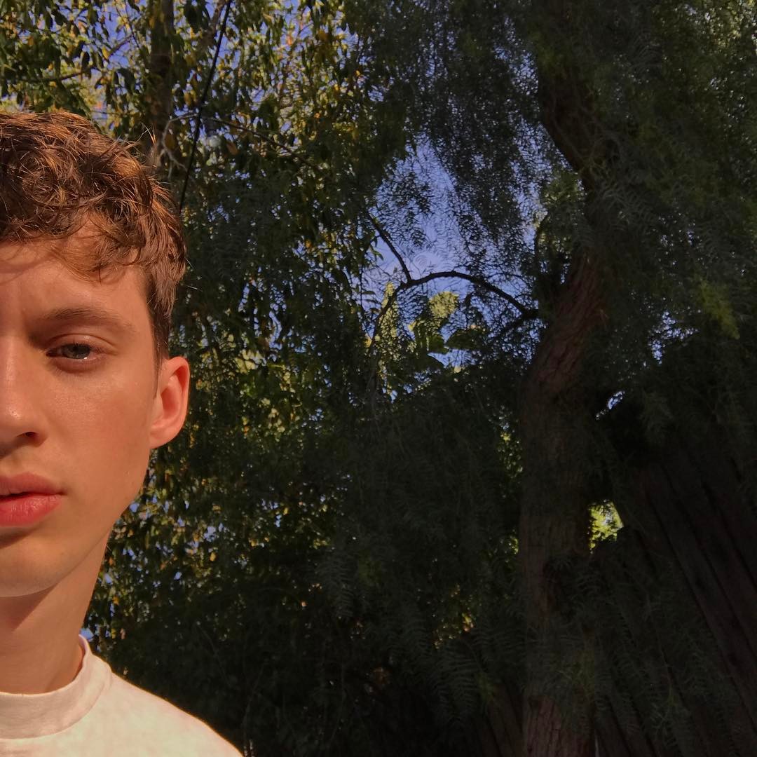 General photo of Troye Sivan