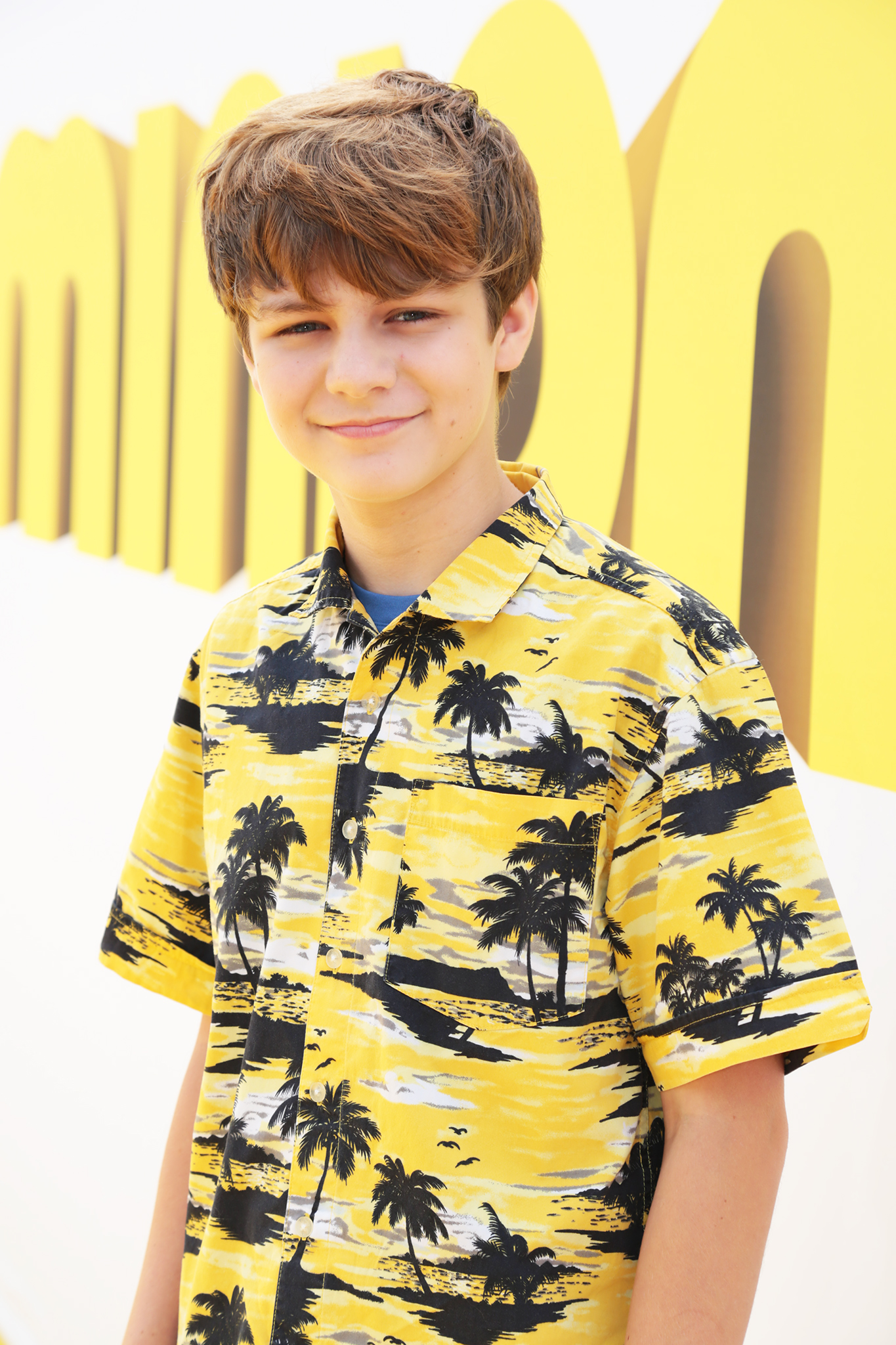 General photo of Ty Simpkins