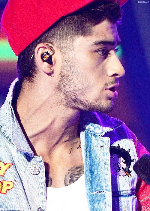 General photo of Zayn Malik