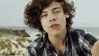 Harry Styles : harry-styles-1364808043.jpg