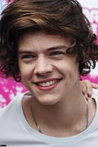 Harry Styles : harry-styles-1373013624.jpg