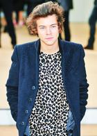 Harry Styles : harry-styles-1379616998.jpg