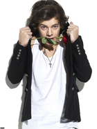 Harry Styles : harry-styles-1392909300.jpg