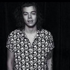 Harry Styles : harry-styles-1429030357.jpg