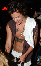 Harry Styles : harry-styles-1429209181.jpg