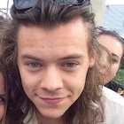 Harry Styles : harry-styles-1442885116.jpg