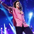 Harry Styles : harry-styles-1443802372.jpg