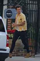 Harry Styles : harry-styles-1480605443.jpg