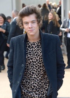 Harry Styles : harry-styles-1488060154.jpg