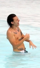 Harry Styles : harry-styles-1491001924.jpg