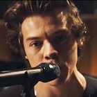 Harry Styles : harry-styles-1501867090.jpg