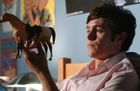 Adam Brody : TI4U_u1153089479.jpg